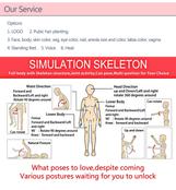 FYB Tpe Silicone Toy India Real Furry Big Boobs Male Bbw Ass Adult Dolls Black Animal Anime Rubber Sex Doll from AUTOMATICWOMAN